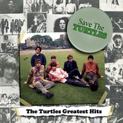 The Turtles: Save The Turtles: The Turtles Greatest Hits