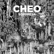 Cheo: Sorpresa