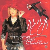 Sarit Hadad: חגיגה