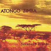 Tuawa by Atongo Zimba