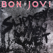 Wild In The Streets by Bon Jovi