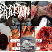 Advanced stages of human putrefaction
