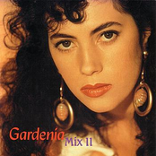 Gardenia: Gardenia: Mix II