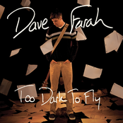 Too Dark to Fly