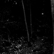 Dead Nature