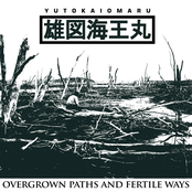 Overgrown Paths And Fertile Ways