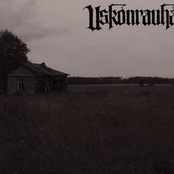 Vapaudenristi / Uskonrauha