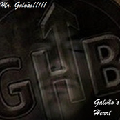 Galvão's Heart Brothers