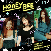 HONEY BEE - Single