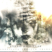 Endeavour Through Thorns