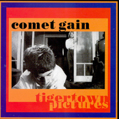 Dreaming Of Tigertown by Comet Gain