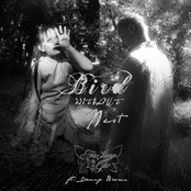Bird W/O Nest (feat. Danny Brown)