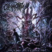 Nexus Aeternum