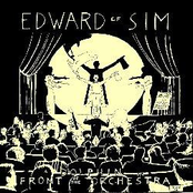 A Dolphin in Front of the Orchestra