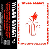 Miles Bandit: Amethyst Garden