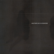 Another Day In Paradise