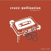Cross-Pollination: The Mixtape Vol. 1
