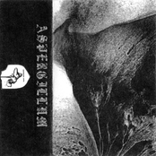 Aspergillum