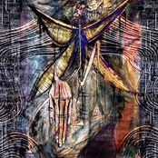 The Light That Warmed Me Now Blisters My Skin