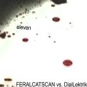 feralcatscan