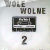 Wole Wolne 2