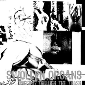 Digging Through the Trash