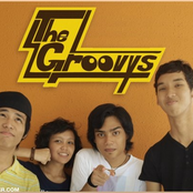 the groovys