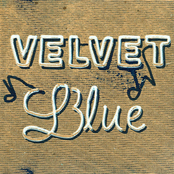 Harrison Bankhead: Velvet Blue