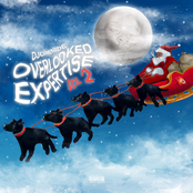 Overlooked Expertise Vol. 2