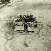 Perfunctory