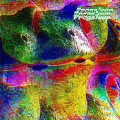 Nocturnal Frogadelic Hallucinations