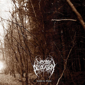 Woods Of Desolation by Woods Of Desolation