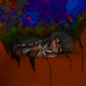 Caviar's Last Day In the Sun