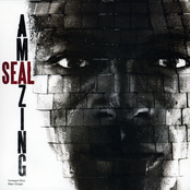 Amazing (kaskade Remix) by Seal