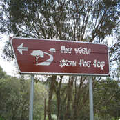 the view from the top