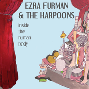 Take Off Your Sunglasses by Ezra Furman & The Harpoons