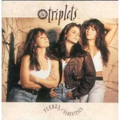 Fuerza Del Parentesco