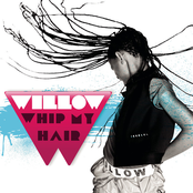 Willow Smith: Whip My Hair