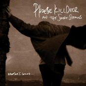 Never Tell A Lie by Phoebe Killdeer And The Short Straws