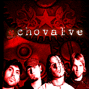 Echovalve