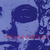 Strange Boutique: The Kindest Worlds