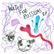 Watch For Possums EP