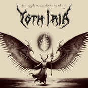 Embracing The Mexican Shadows