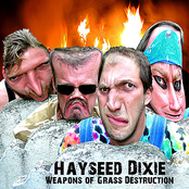 Hayseed Dixie: Weapons Of Grass Destruction