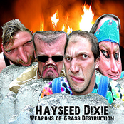 Eisgekühlter Bommerlunder by Hayseed Dixie