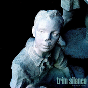 Trim Silence - 10 Years Of Silence (2003-2013 Singles Compilation)