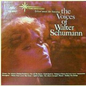 Taking A Chance On Love by The Voices Of Walter Schumann