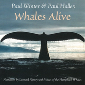 Whales Alive