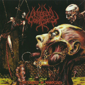 The Sickness Of Mankind