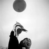 The Hiddin Sayings of Maria in the Shower